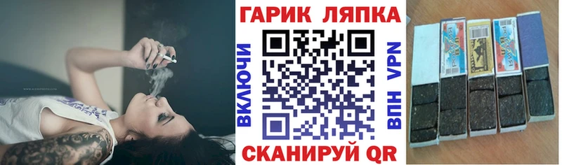 ГАШ Premium  Вязники 