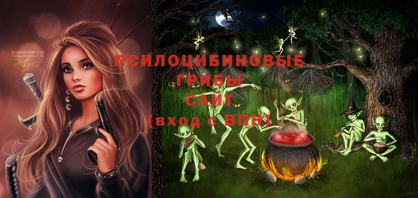 spice Беломорск