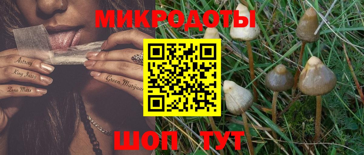 Вязники  Псилоцибиновые грибы MAGIC MUSHROOMS  Галлюциногенные грибы мухоморы  как найти закладки  Вход с VPN 